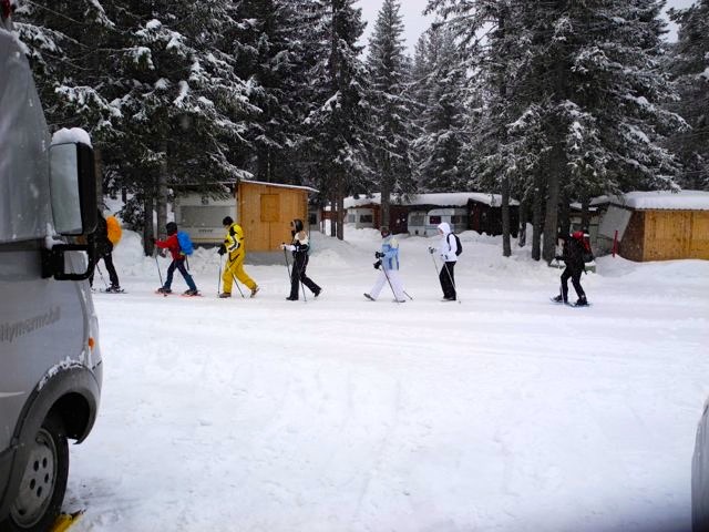 Er komt een groepje sneeuwschoenwandelaars voorbij op de camping