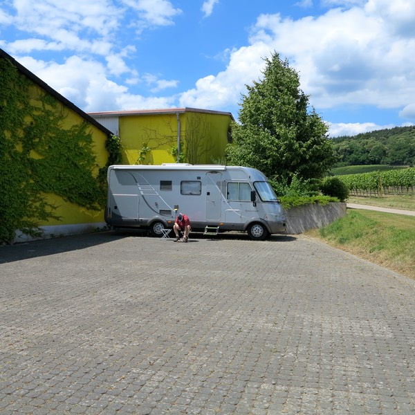 Schweigen-Rechtenbach, camperplaats wijnboer