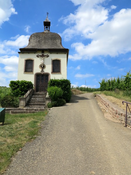 Rondje viticole Marlenheim
